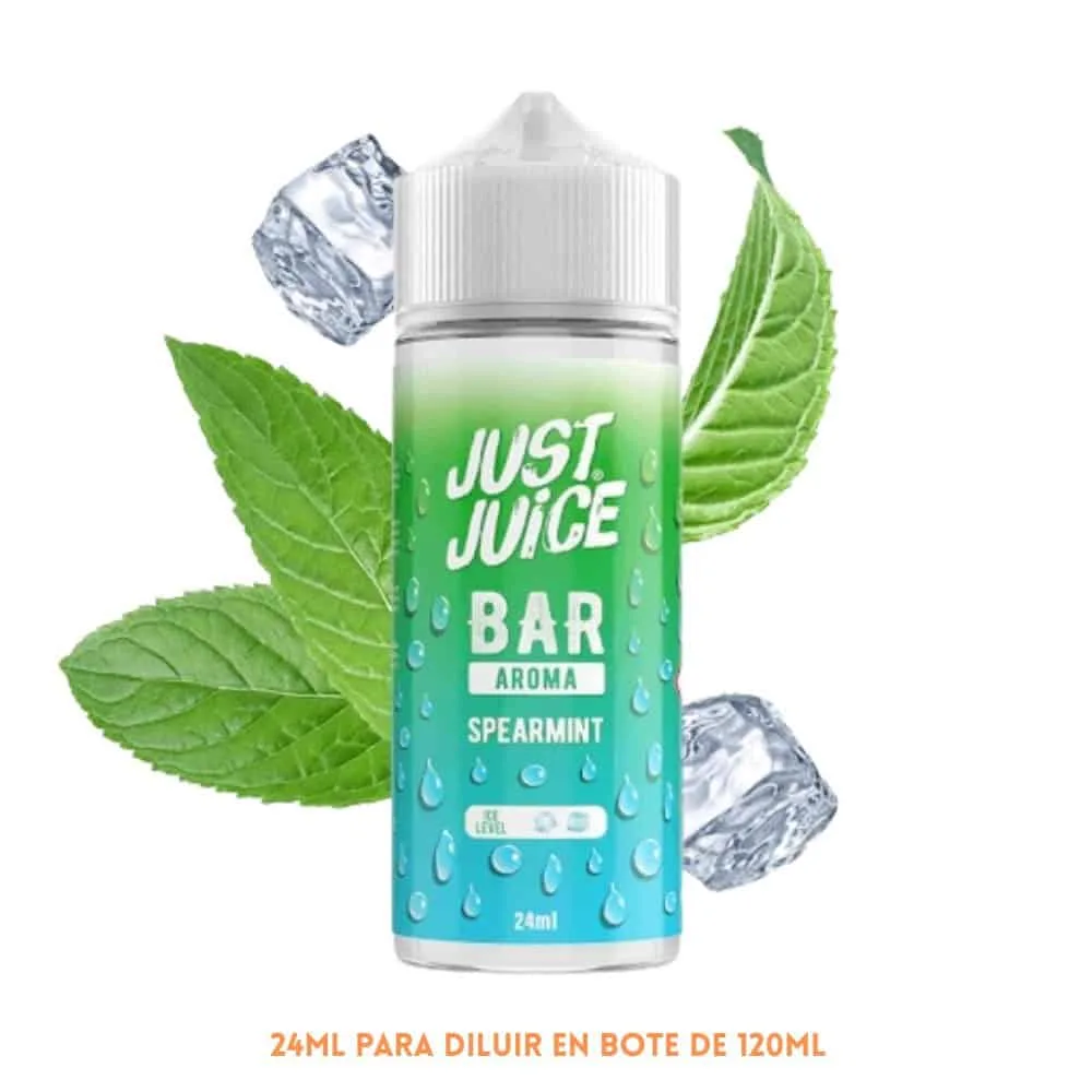 [A30-203-10624] Aroma Just Juice Bar Spearmint Longfill 24/120ml