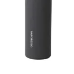 Vaporesso GTX GO 80