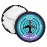 Bolsa Nicotina Lost Mary Airplane Ice Mint 30mg